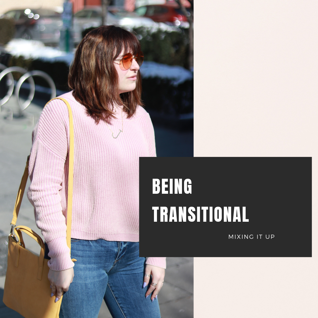 Learning to be Transitional: Mixing it up