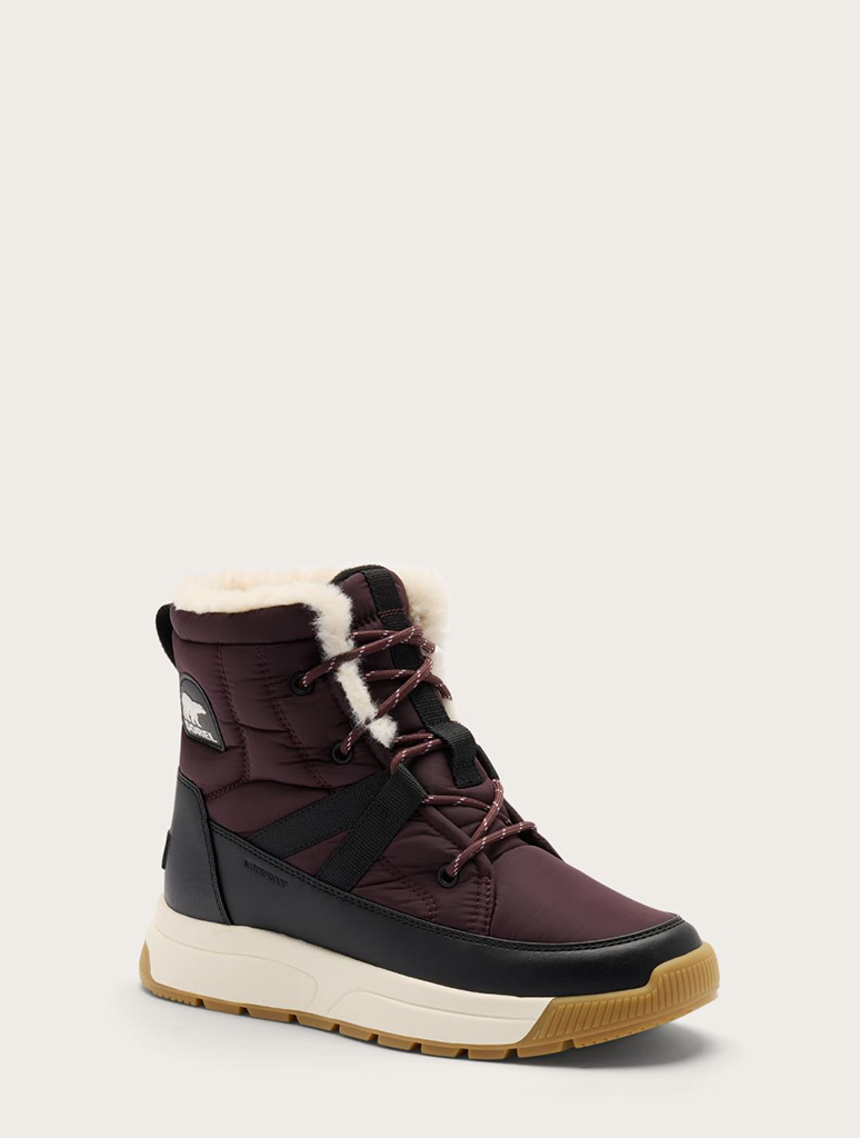 2138491-630_SOREL-1