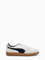 397647-01_PUMA-1