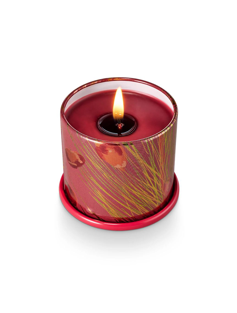 45364010000_ILLUME-2