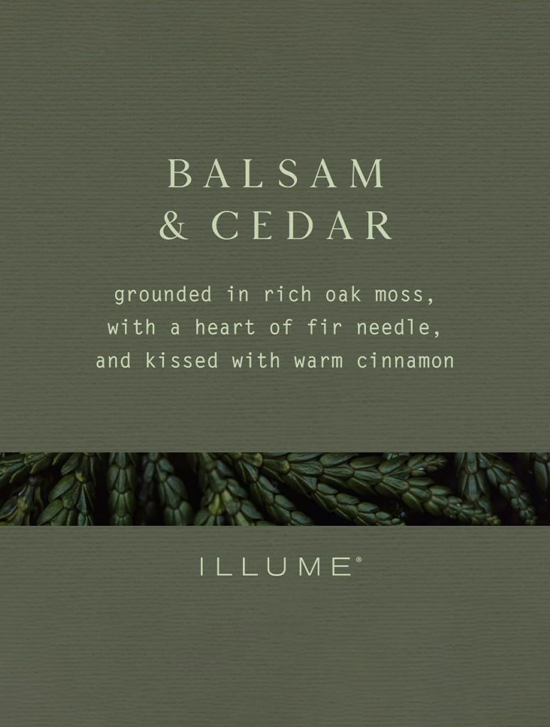 46354072000_ILLUME-2