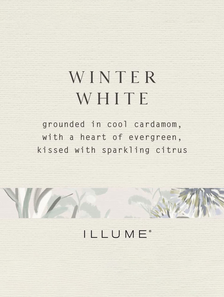 46354333000_ILLUME-2