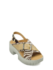 4CS125003_4CCCCEES-1