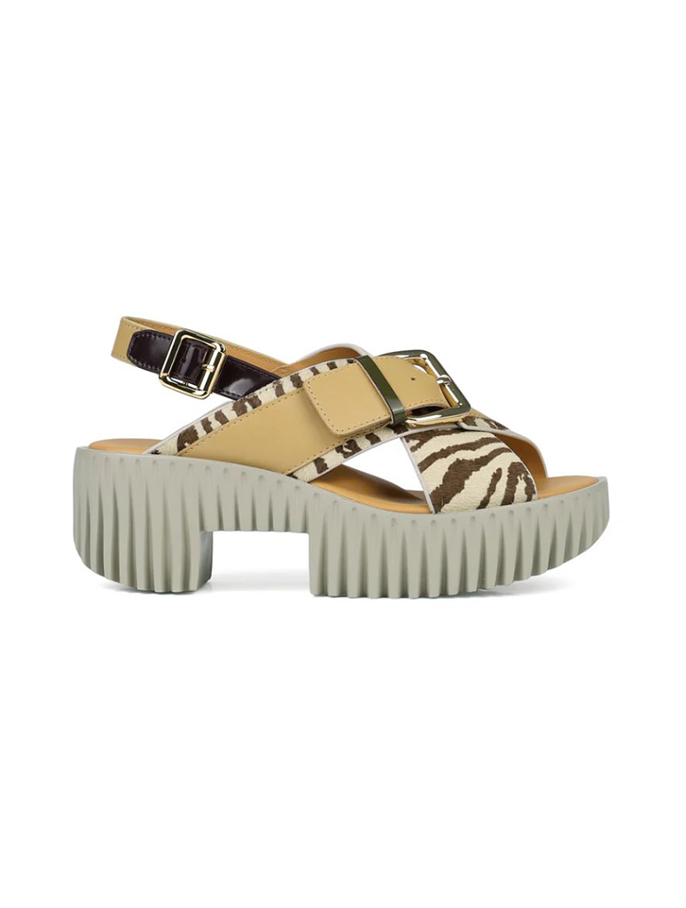 4CS125003_4CCCCEES-2