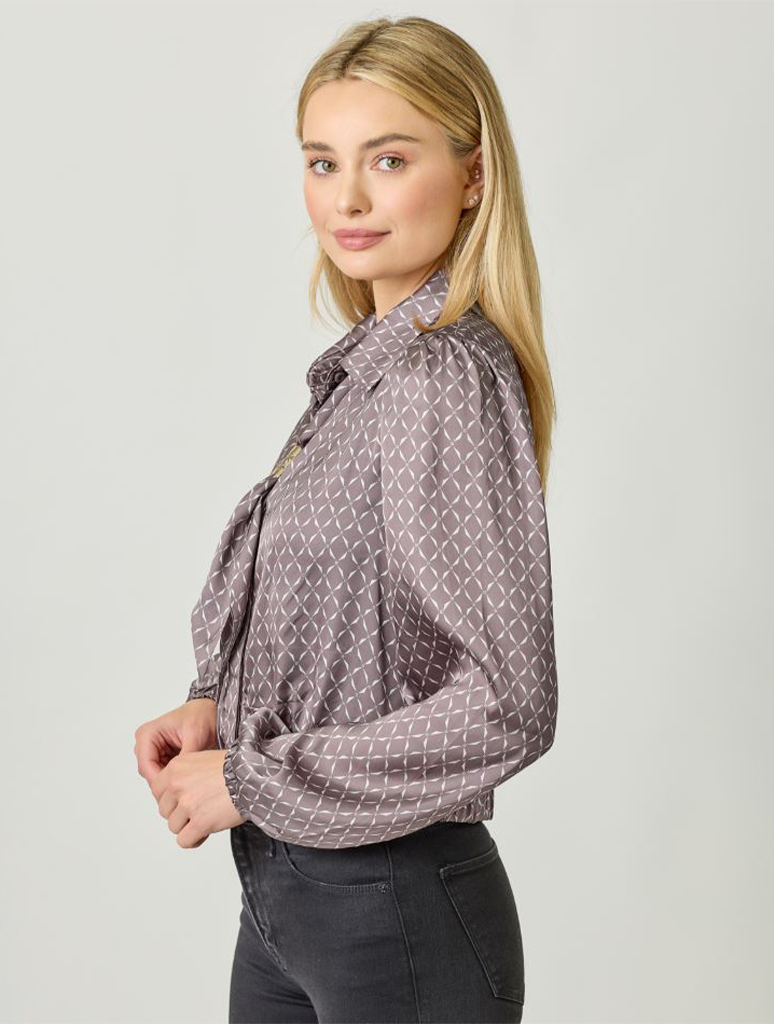 Scarf Long Sleeve Blouse
