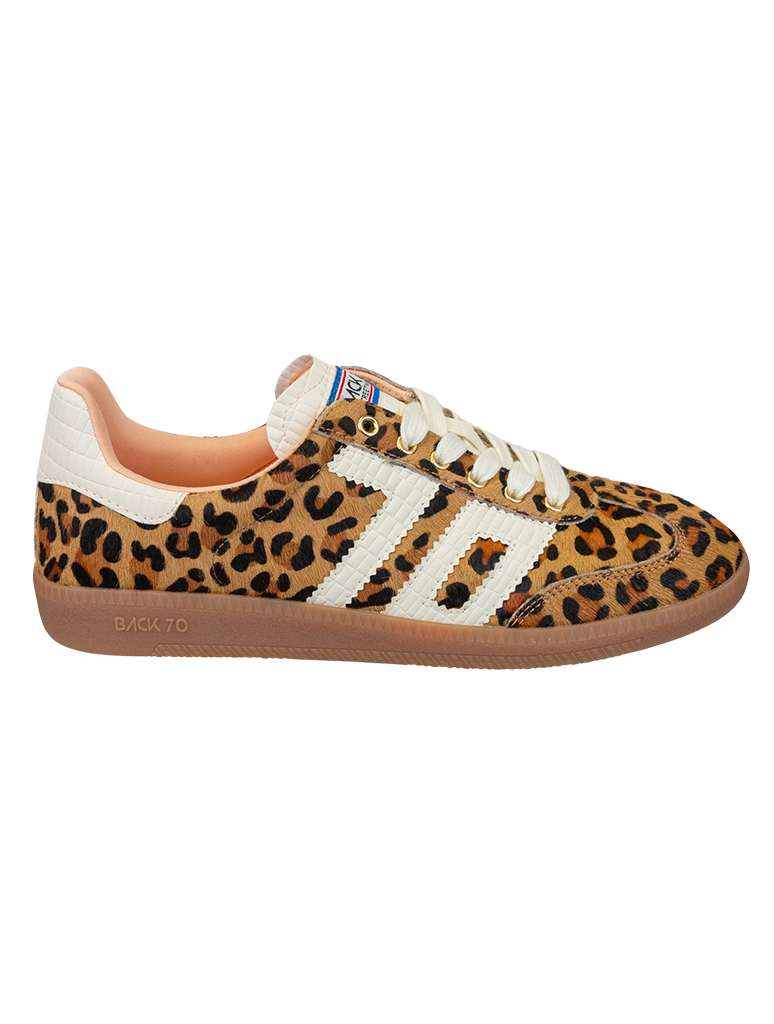 B70-CLOUD-LPCAWH-37_BACK70-3