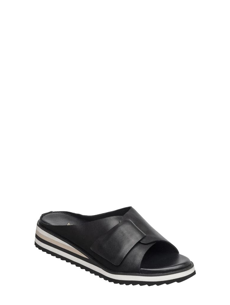 B70-PADME-BLACK_ANTELOPE-1