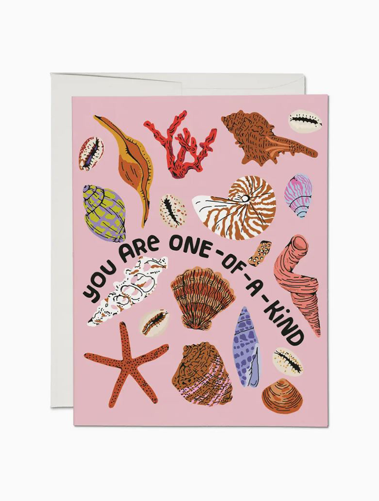 Special Seashell Greeting Card