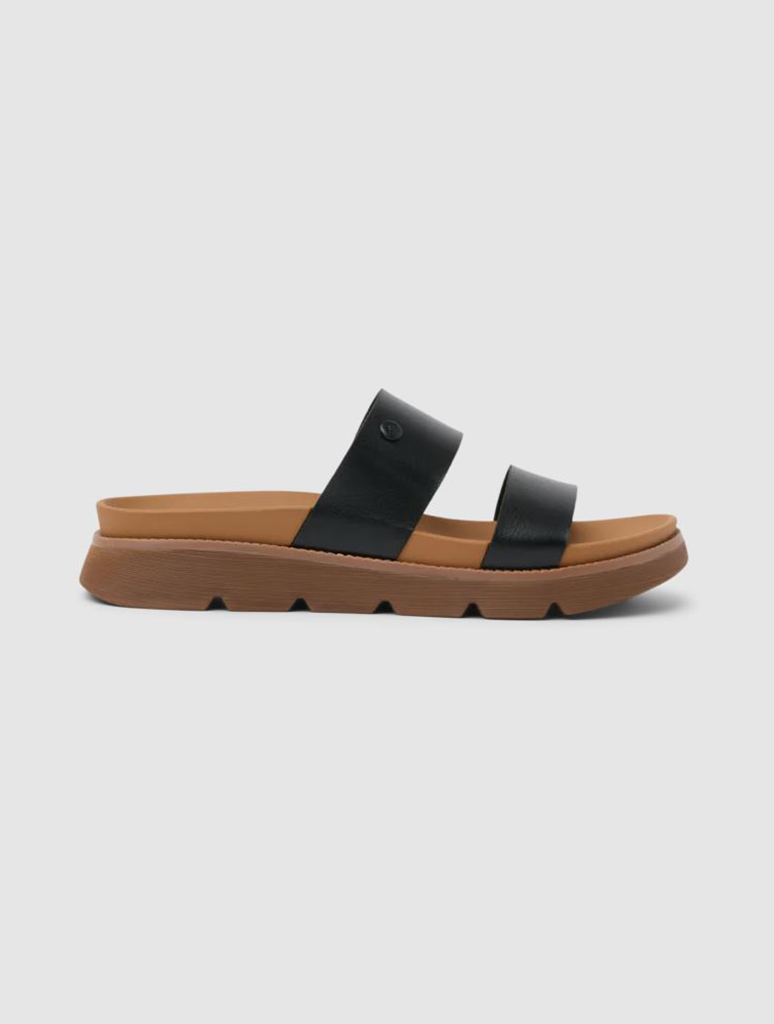 CJ7370_REEF-2