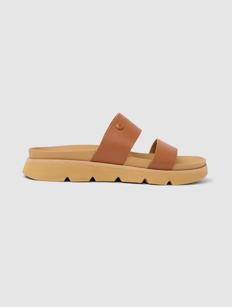 CJ7371_REEF-2