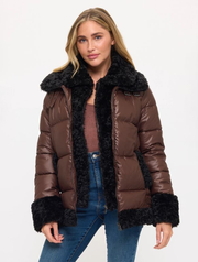 CLANP0149-BRBLK_COALITION-1