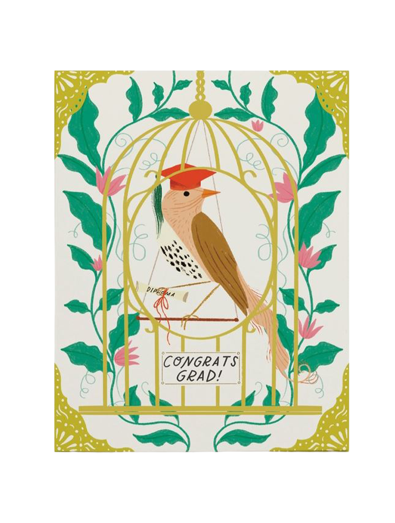 GRADBIRD_OLIVEANDCOMPANY-1