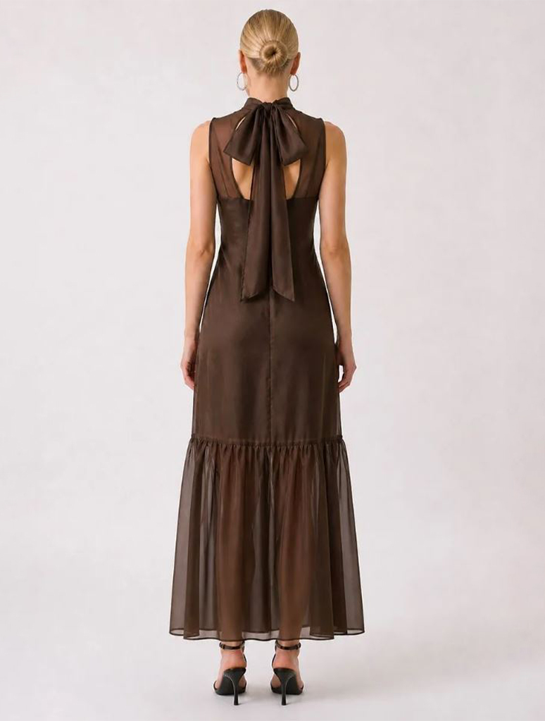 Soft Organza Mock Neck Maxi Dress
