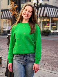 Desigual Joyta Geometric Embroidery Sweatshirt in Verde
