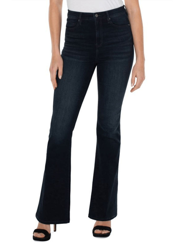BDG Reese Low-rise Flare Jean in Black