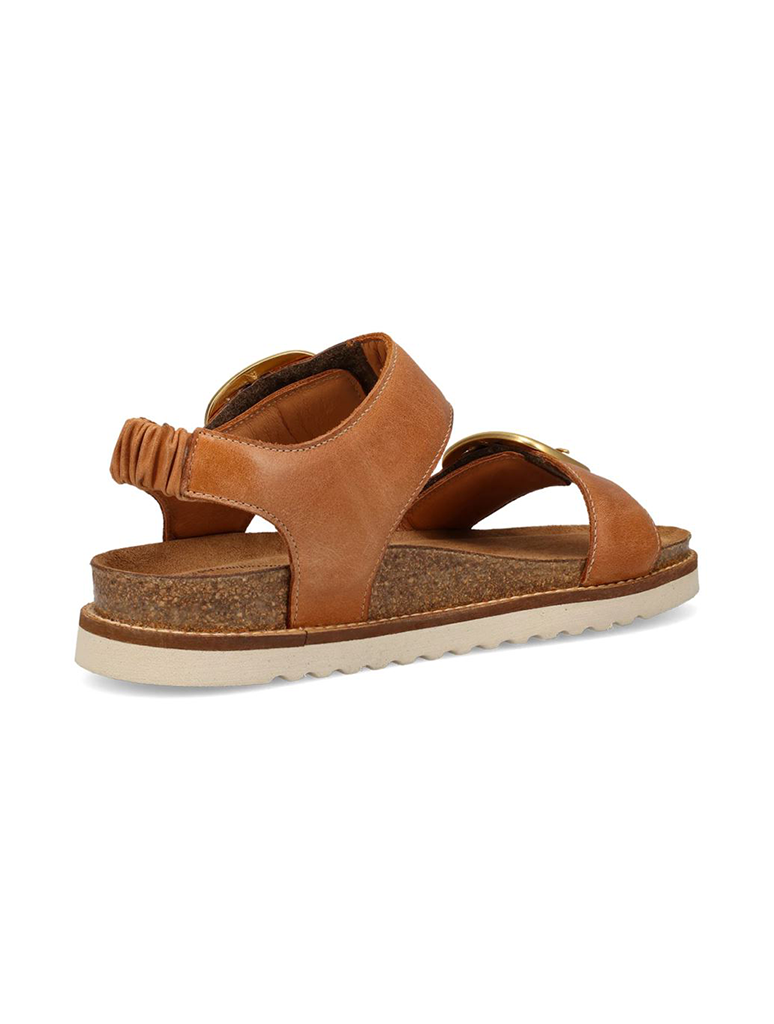 OTD-9395-CARA_TAOS-2