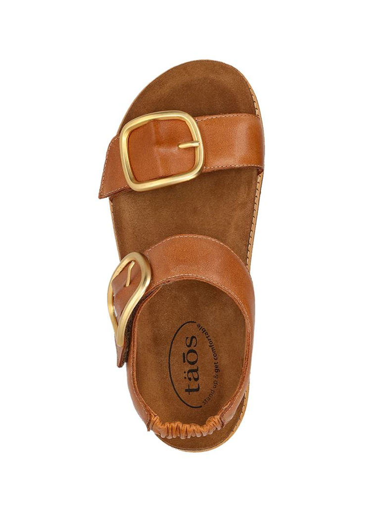 OTD-9395-CARA_TAOS-3