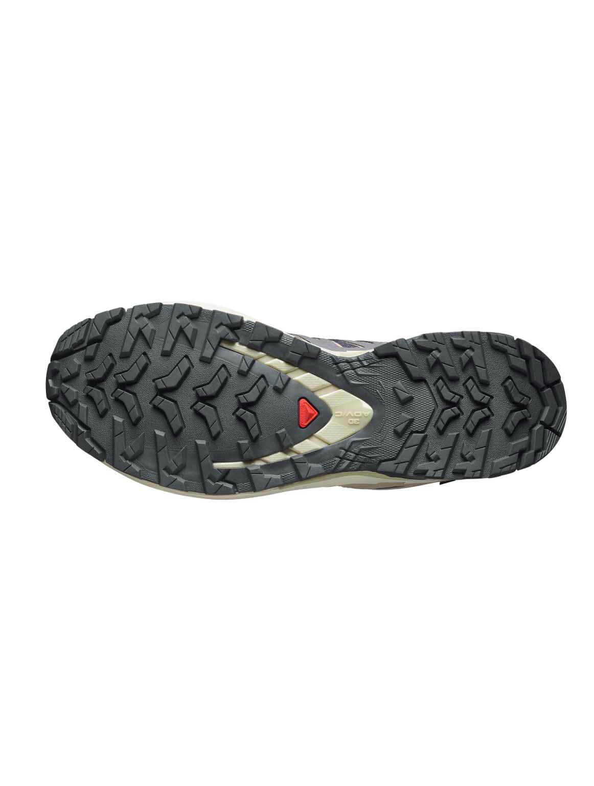 Salomon XA PRO 3D V9 GTX Sneaker