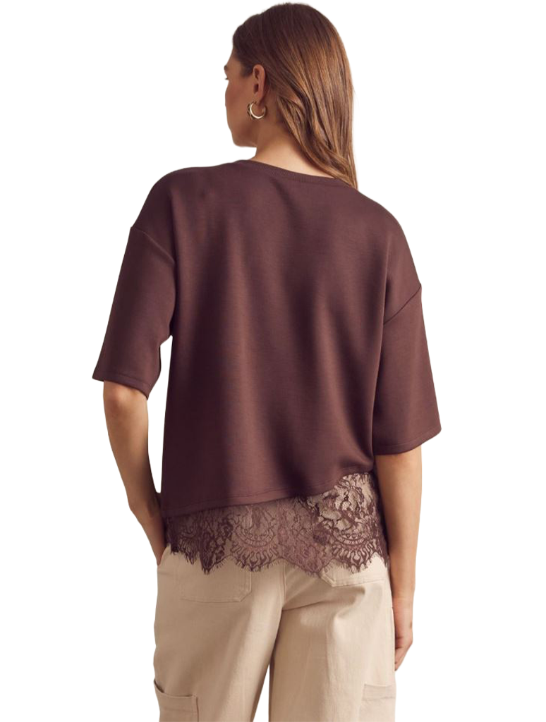 T31290-BROWN_ENTRO-3