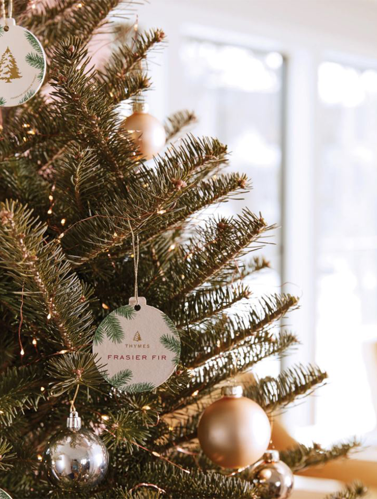 TH03505206510_THYMES-2