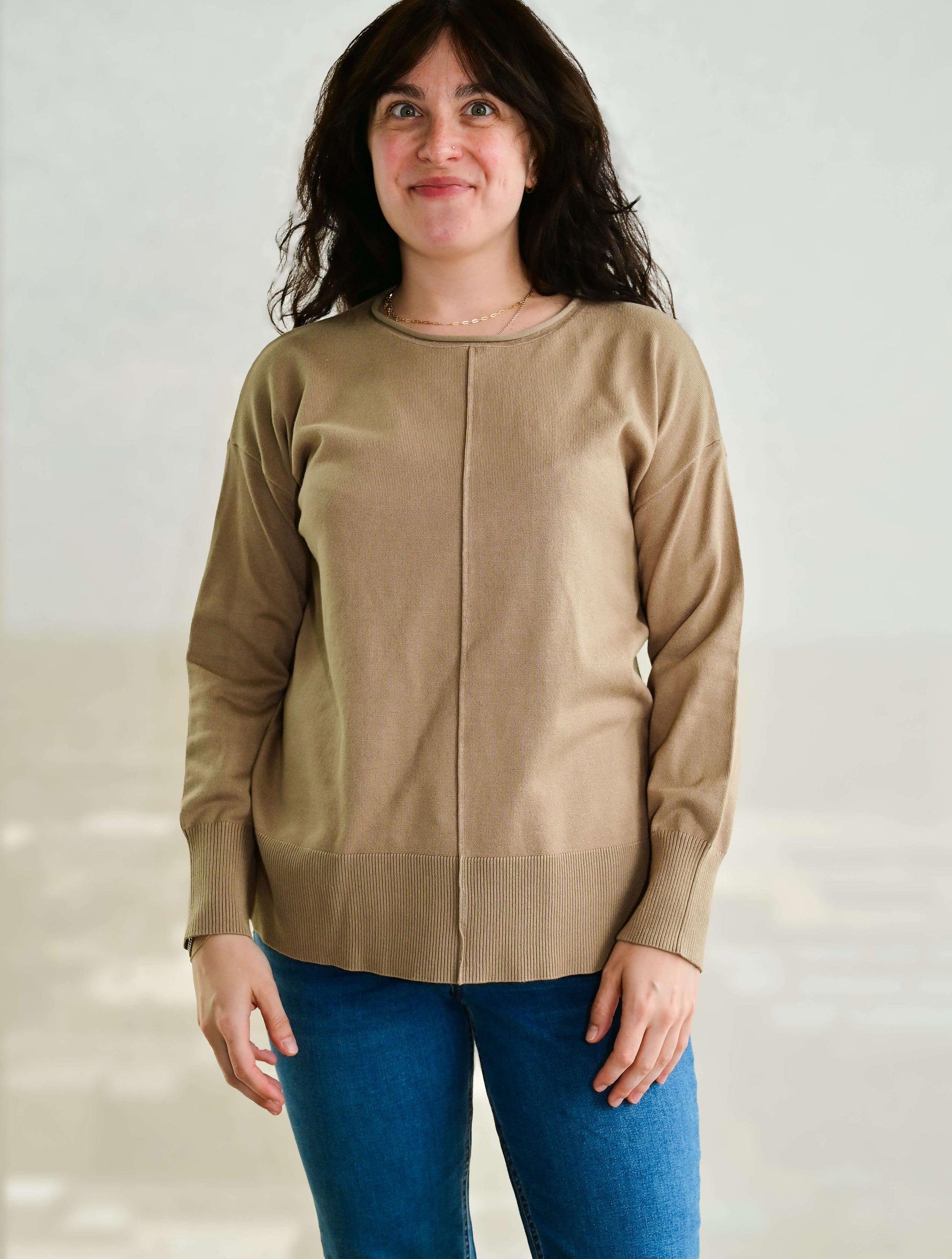 Long Sleeve Roll Neck Front Seam Sweater