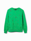 Desigual Joyta Geometric Embroidery Sweatshirt in Verde