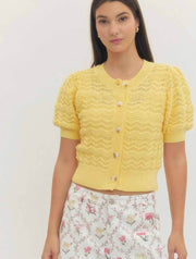 Fine Gauge Short Sleeve Sweater