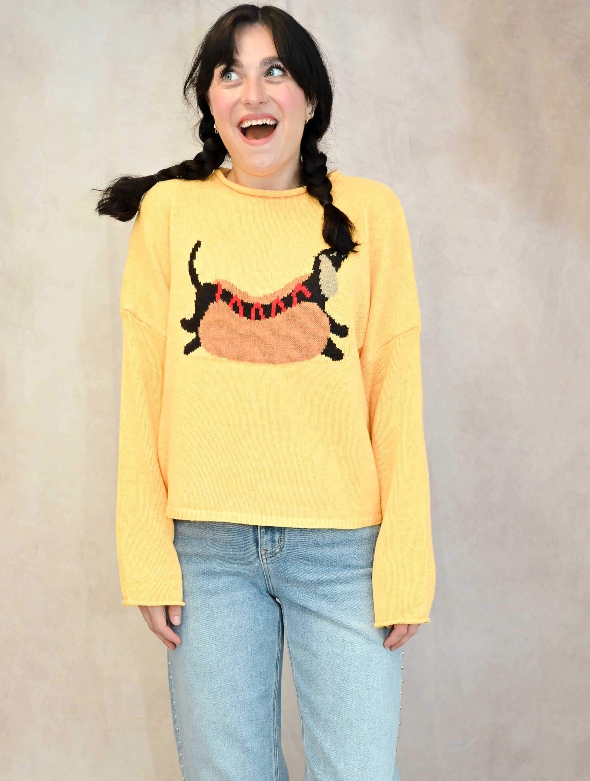 Hot Dog Sweater