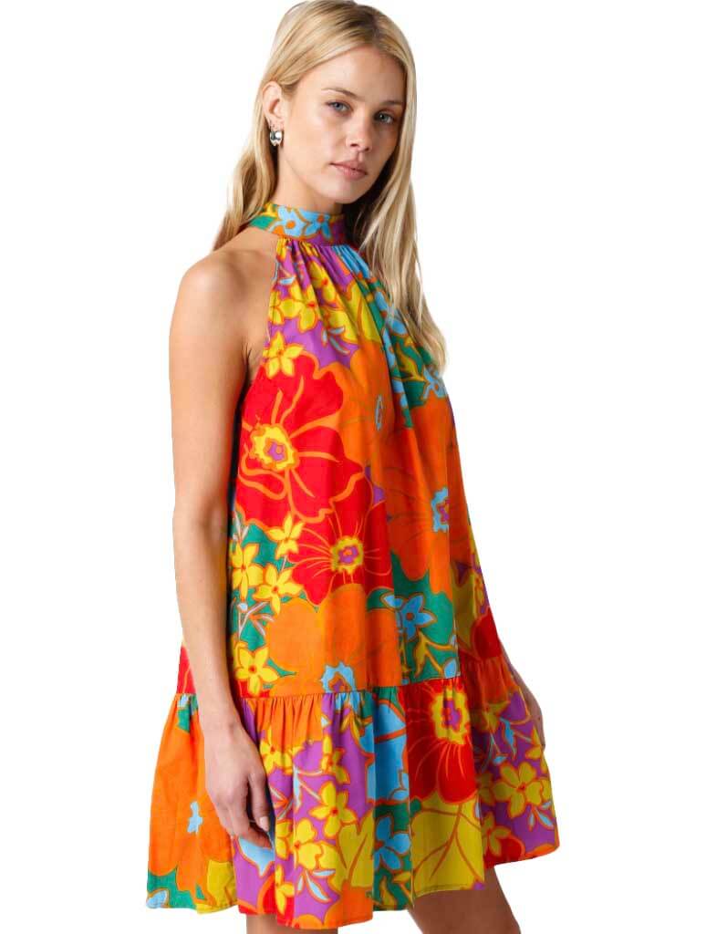 Freesia Sleeveless Mock Neck Dress in Rainbow Multi