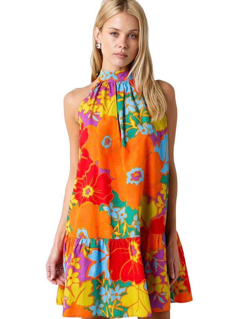 Freesia Sleeveless Mock Neck Dress in Rainbow Multi