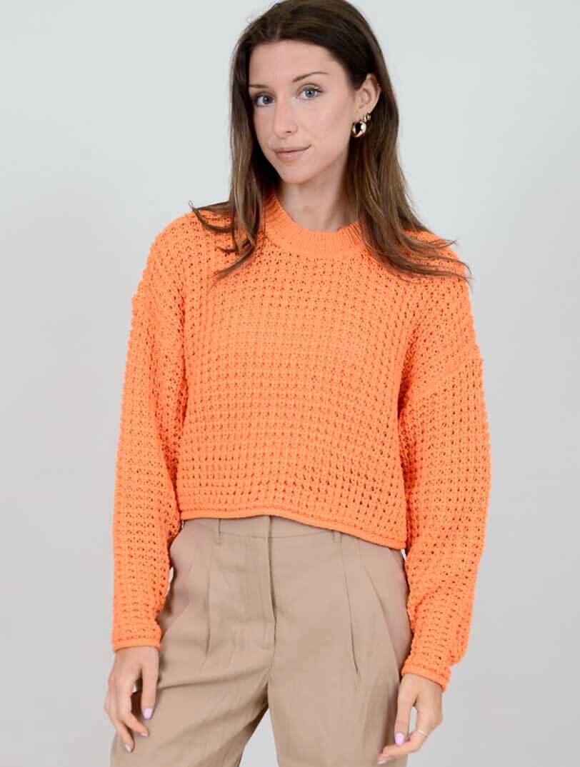 Darla Long Sleeve Crew Neck Pullover in Apricot