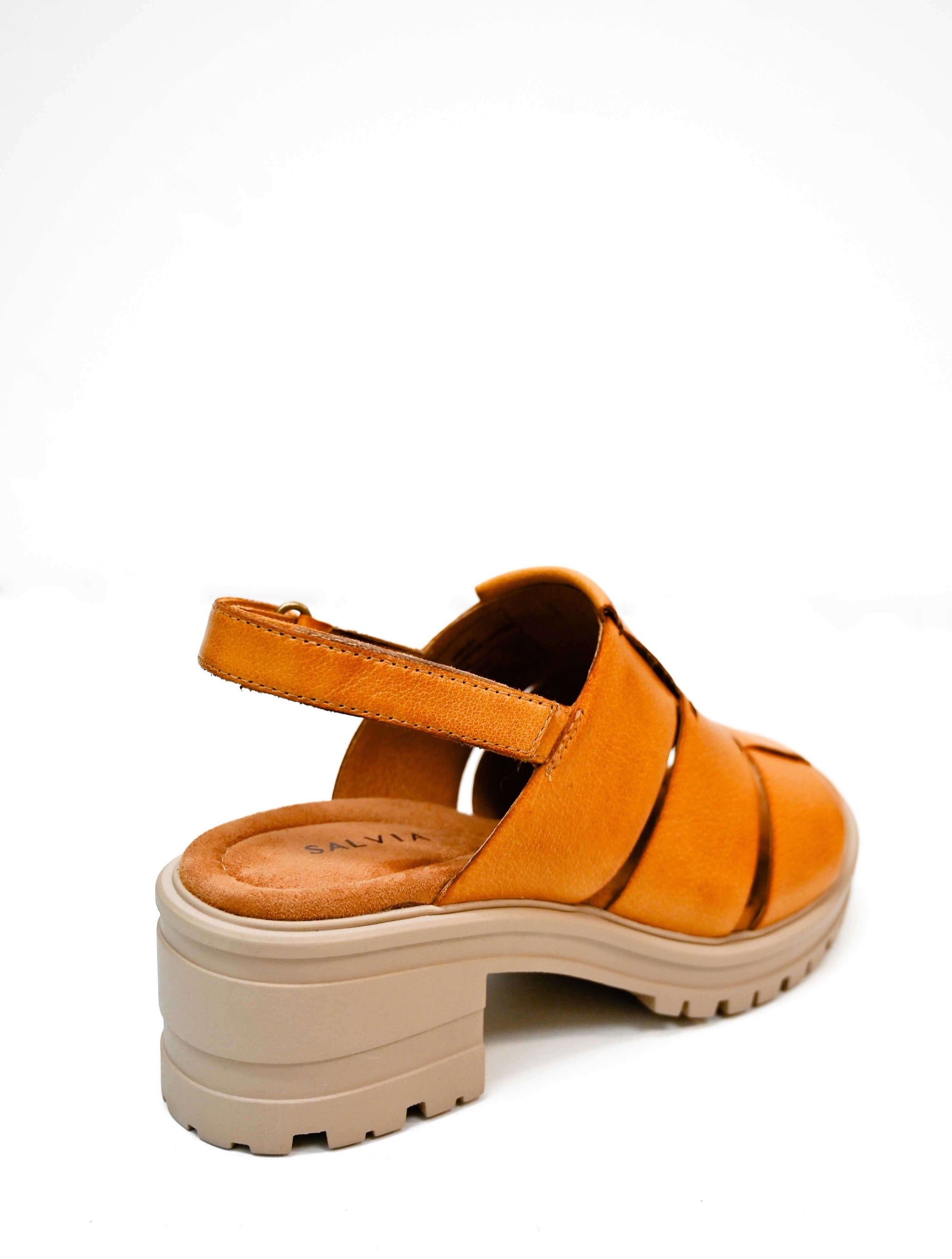 Salvia Harley Sandal