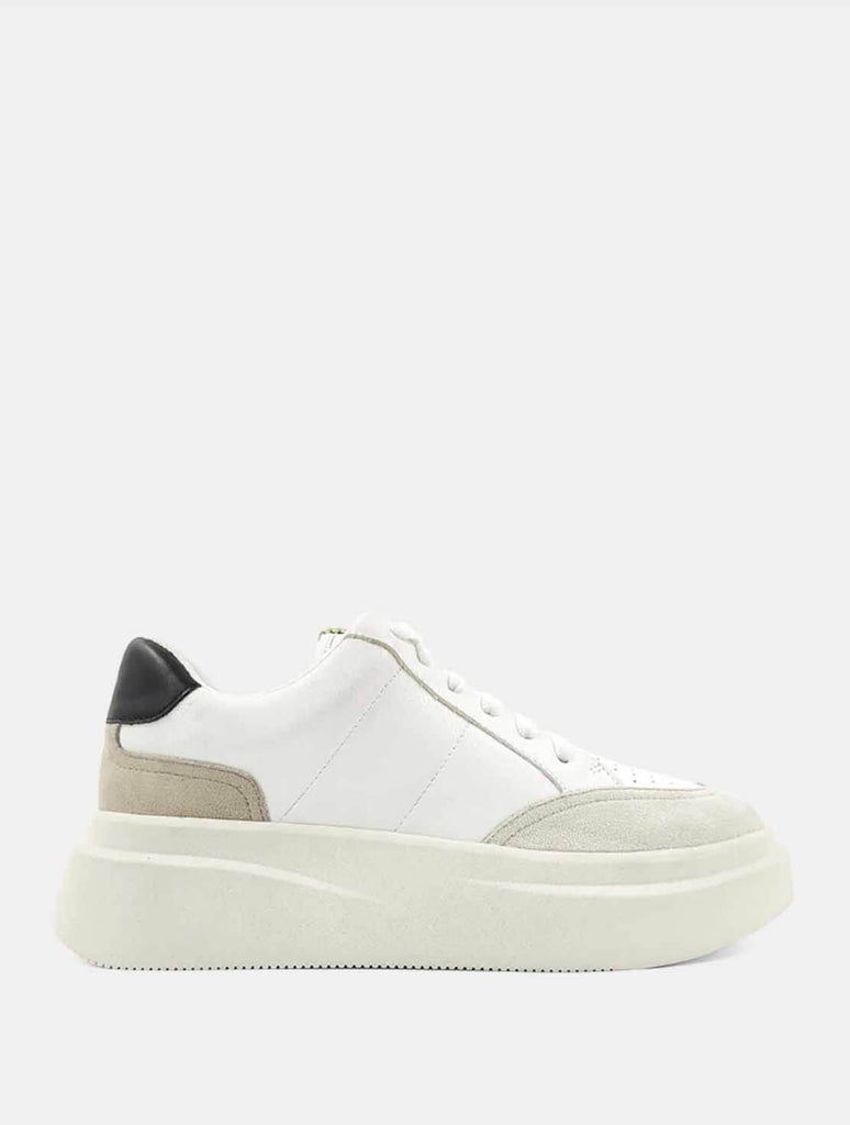 Shu Shop Skylar Sneaker in Black 165420121794