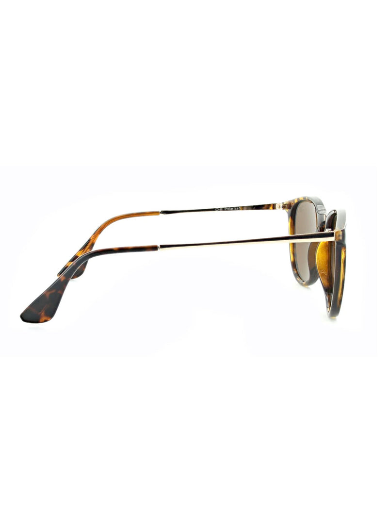 4623754788939-Pizmo-Sunglasses-in-Shiny-Dark-Demi-